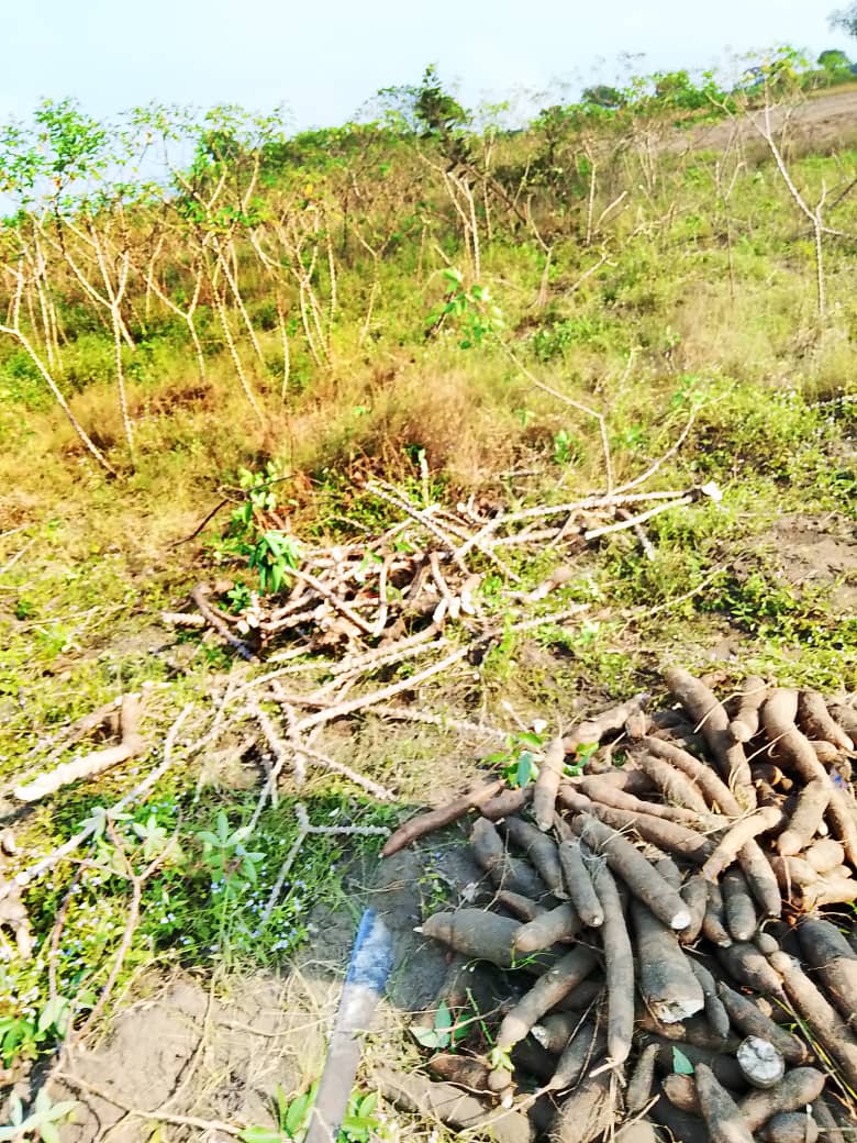 Héritage agricole